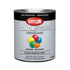 Krylon COLORmaxx paint Gray